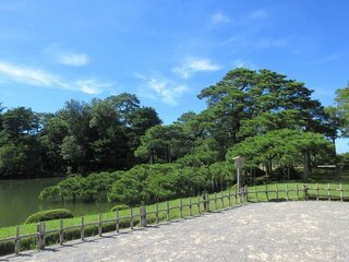 IMG_7615.jpg