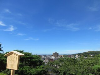 IMG_7618.jpg