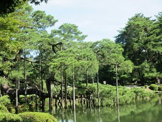 IMG_7626.jpg