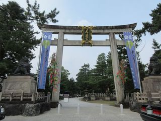 IMG_7832.jpg