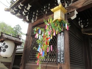 IMG_7842.jpg