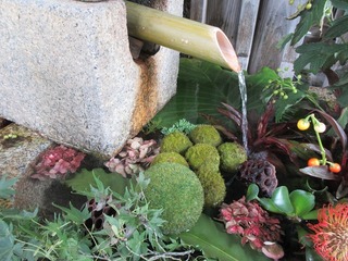 IMG_7848.jpg