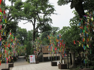 IMG_7856.jpg