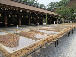 IMG_7866.jpg