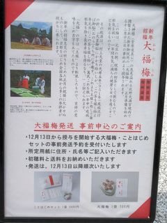 IMG_7868.jpg