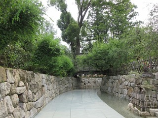 IMG_7880.jpg