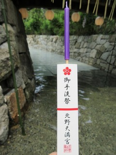 IMG_7886.jpg