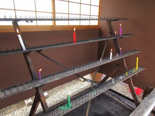IMG_7887.jpg