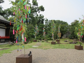 IMG_7889.jpg