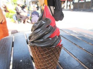 IMG_8036.jpg