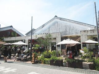 IMG_8040.jpg
