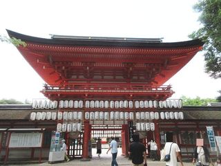 IMG_8125.jpg