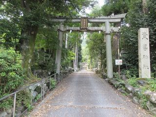 IMG_8507.jpg