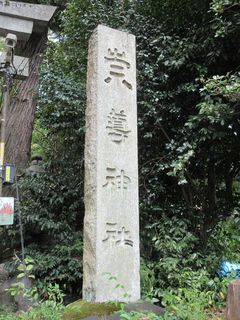 IMG_8508.jpg