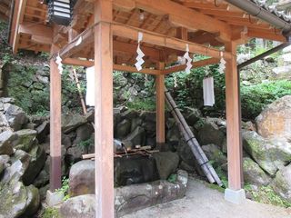 IMG_8520.jpg