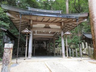 IMG_8522.jpg