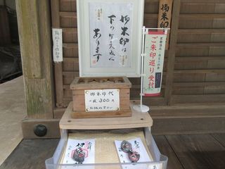 IMG_8528.jpg