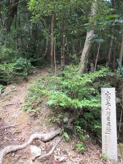 IMG_8532.jpg