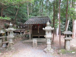 IMG_8534.jpg