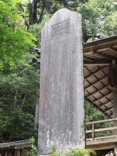IMG_8535.jpg