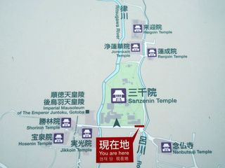IMG_8548.jpg