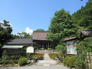 IMG_8565.jpg