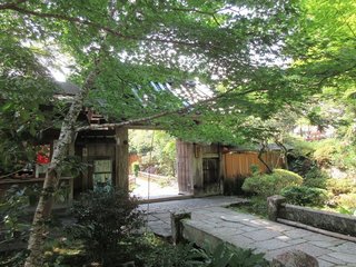 IMG_8570.jpg