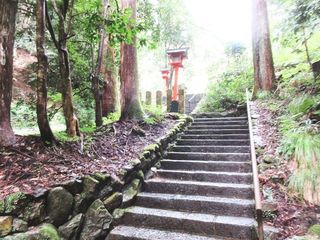 IMG_8571.jpg