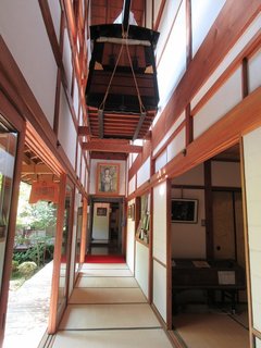 IMG_8581.jpg