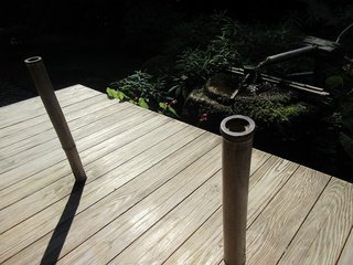 IMG_8603.jpg
