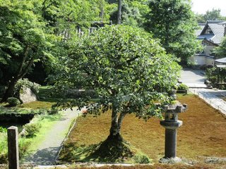IMG_8640.jpg