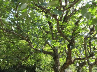 IMG_8645.jpg
