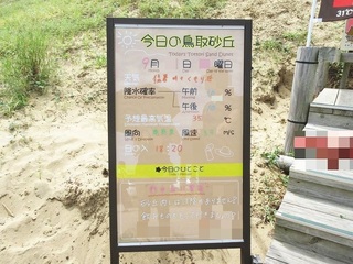 IMG_8668.jpg
