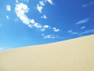 IMG_8692.jpg