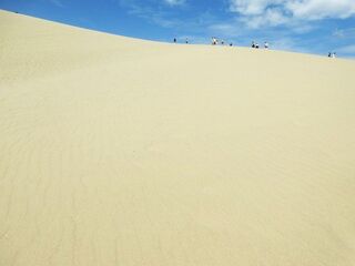 IMG_8709.jpg