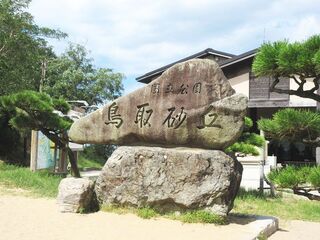 IMG_8715.jpg