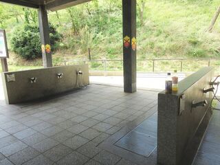 IMG_8716.jpg