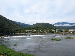 IMG_9303.jpg