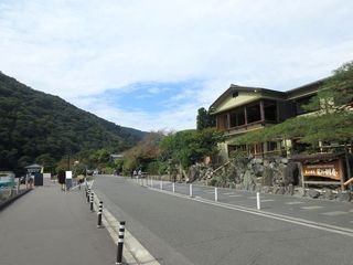 IMG_9310.jpg