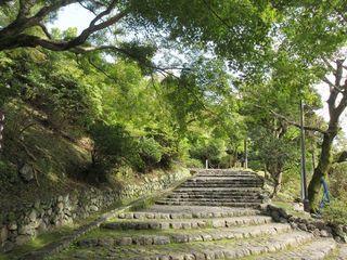 IMG_9315.jpg