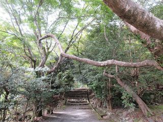 IMG_9318.jpg