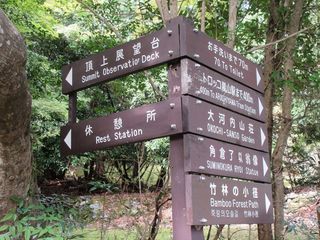IMG_9319.jpg