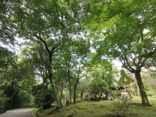 IMG_9320.jpg