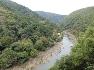 IMG_9342.jpg
