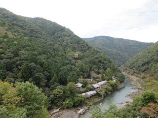 IMG_9345.jpg