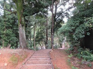 IMG_9353.jpg
