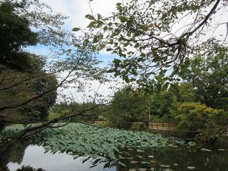 IMG_9354.jpg