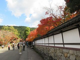 IMG_9700.jpg