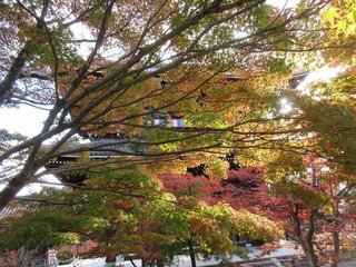 IMG_9755.jpg