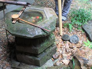 IMG_9930.jpg